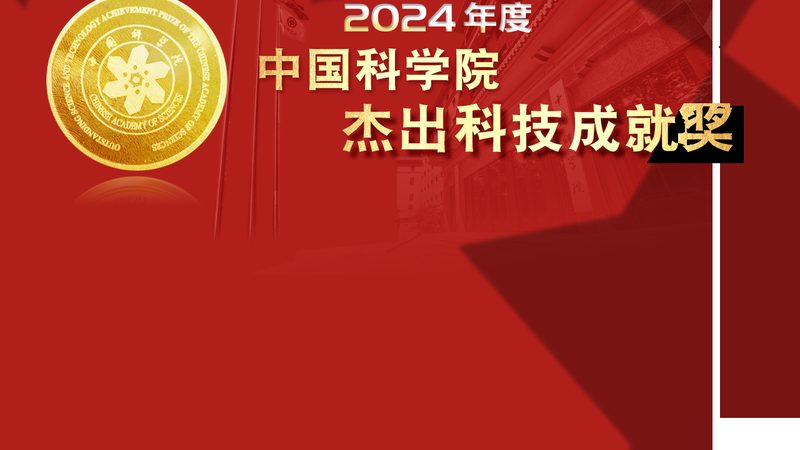 系统集成项目预算制定关键步骤解析**