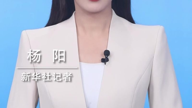 低代码平台定制开发：企业数字化转型的新引擎